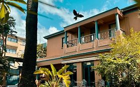 Albatross Suite